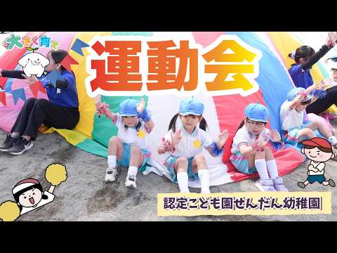 最新の動画「【2～5歳児】全力で駆け抜ける！一人ひとりが輝いた運動会 | 認定こども園せんだん幼稚園」のサムネイル