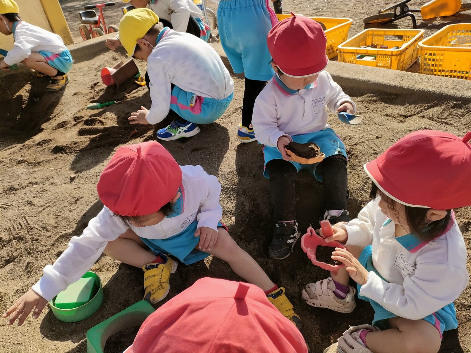 朝の自由あそびで砂場に夢中になる子どもたち