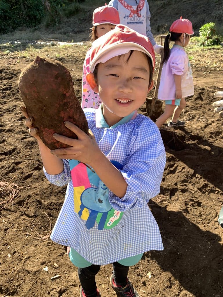 さつまいも掘りしたよ!