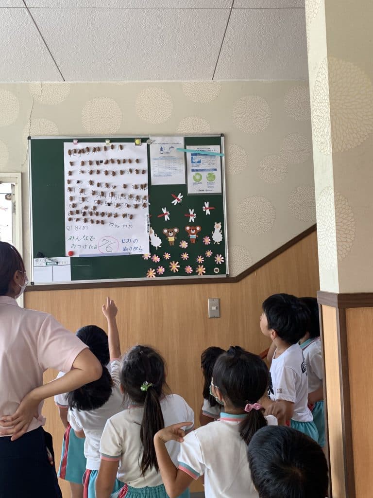 蝉の脱け殻