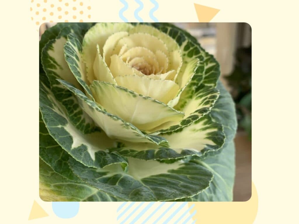 1月28日の給食