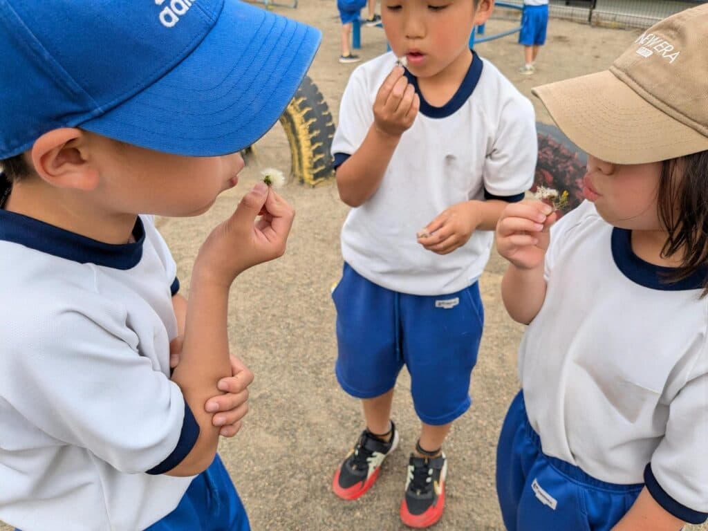綿毛とローマ字と桜の枝、学びが遊びに混ざる週