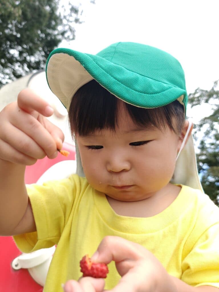 小さな秋を、先に見つけたのは