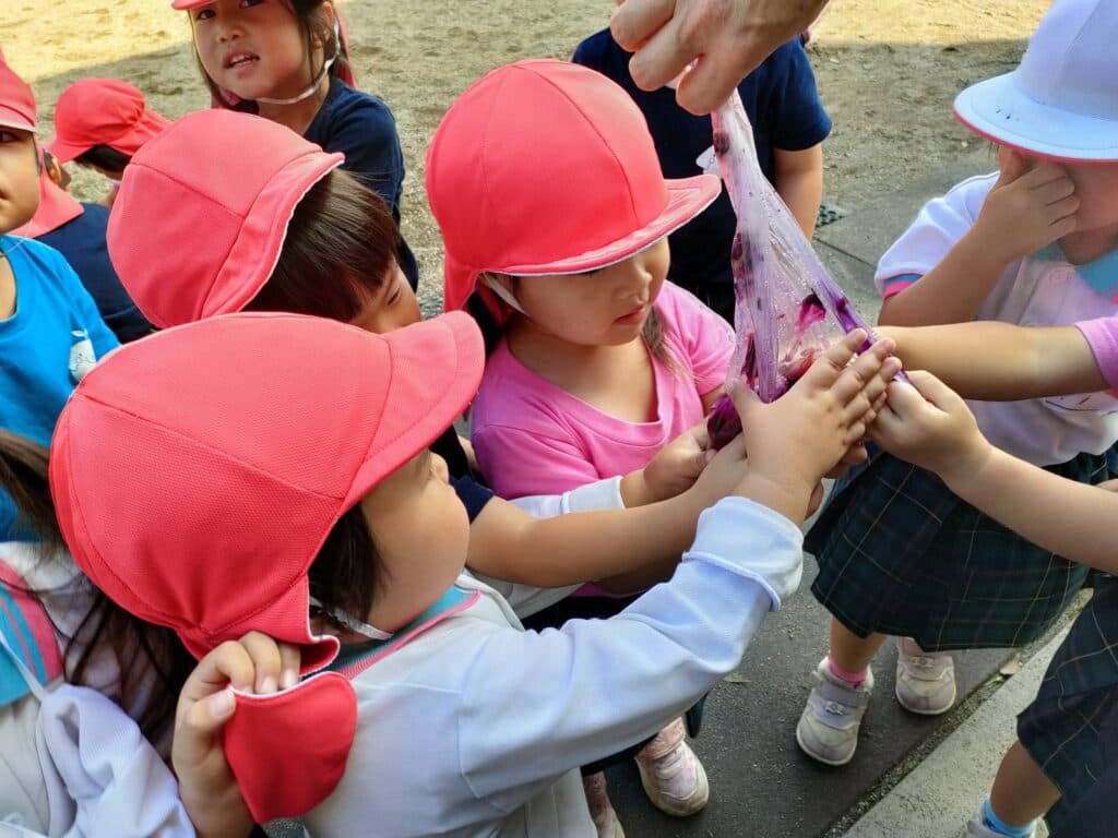 拾った朝顔が、明日のあそびになる